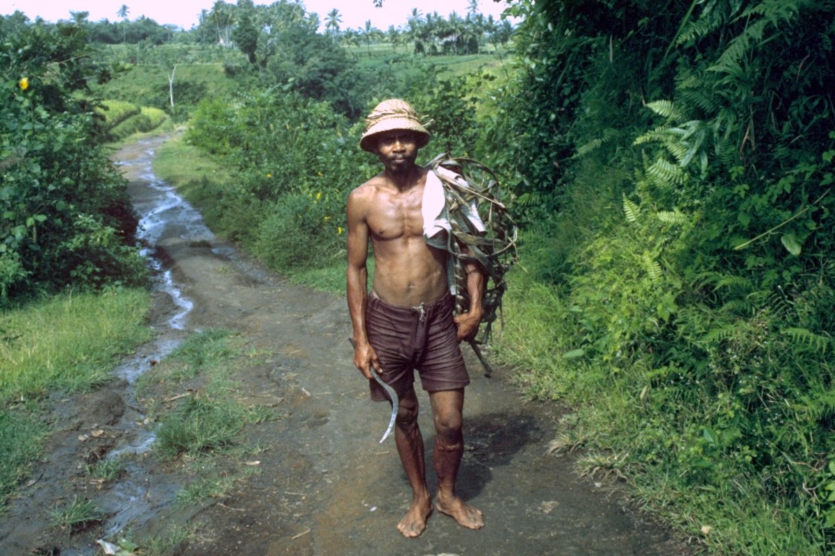 Bali Rice Farmer