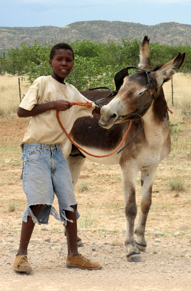khorixas-donkey-herder