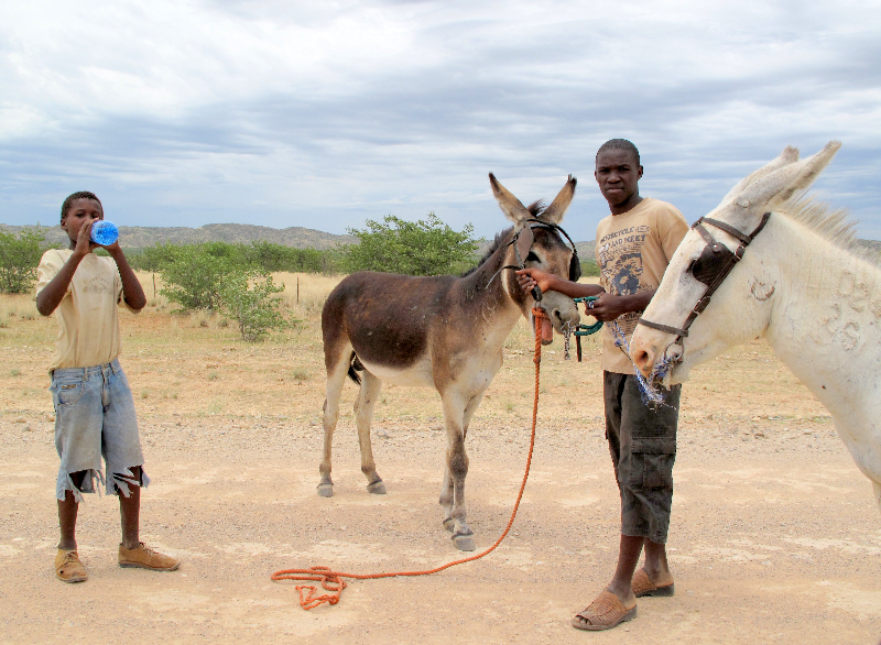 khorixas-donkey-herders