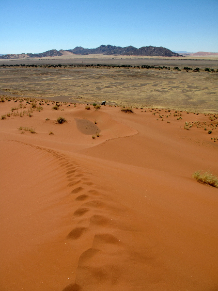 sossusvlei-dune-tracks