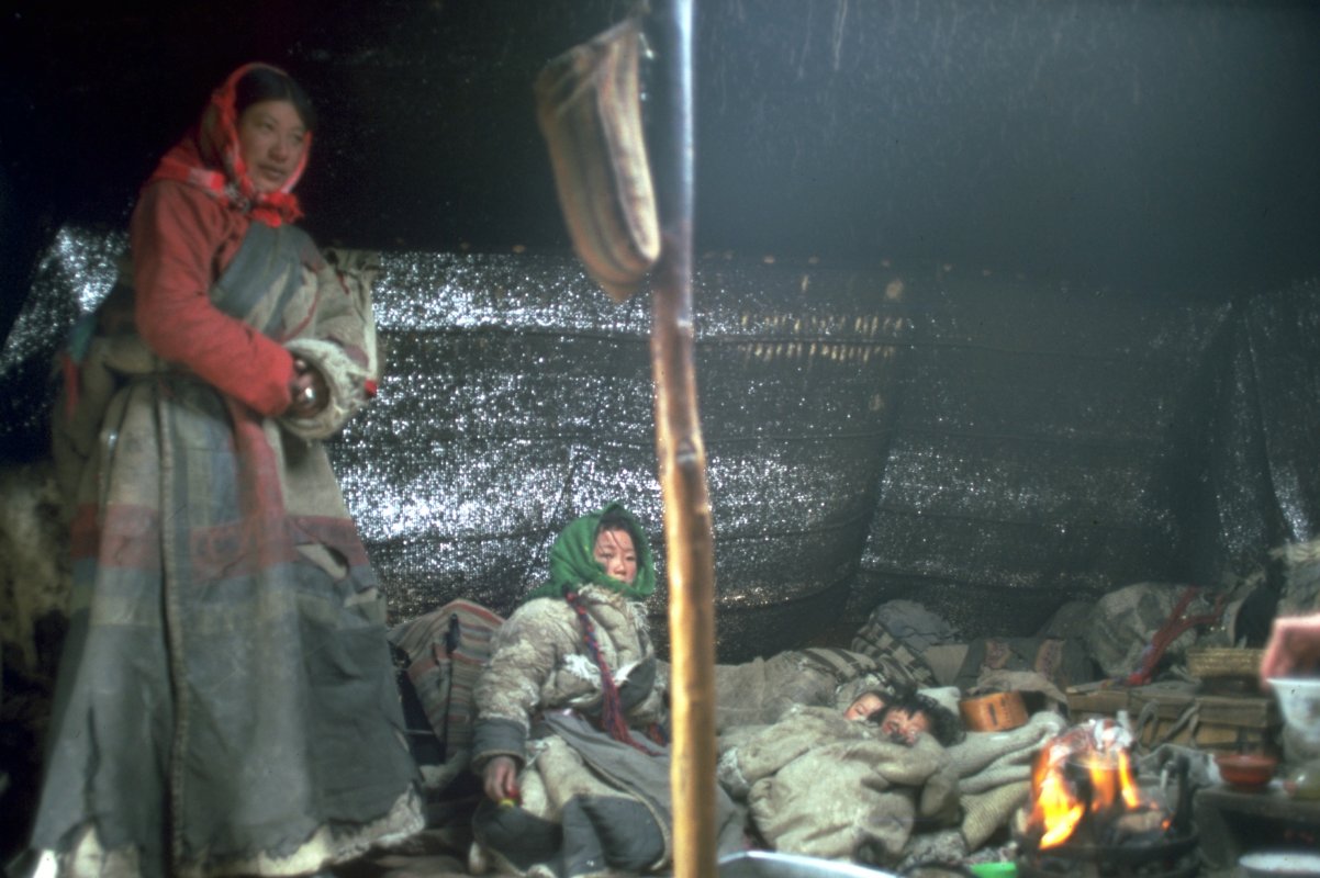 Tibet Nomad Interior 3