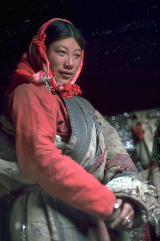 Tibet Nomad Interior 4