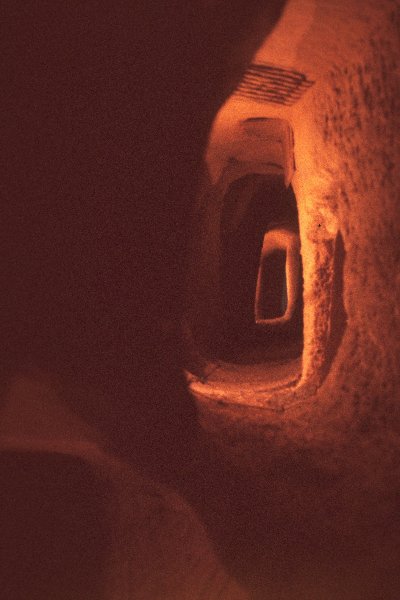 turkey-tunnel-2